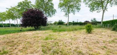 Terrain seul à Castelsarrasin en Tarn-et-Garonne (82) de 1200 m² à vendre au prix de 60000€ - 4