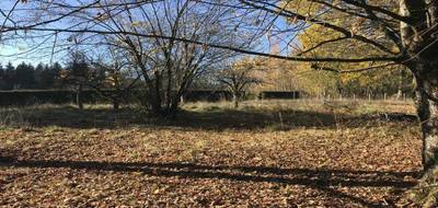 Programme terrain + maison à Dampierre-les-Bois en Doubs (25) de 807 m² à vendre au prix de 373662€ - 3