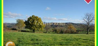 Terrain seul à Nizerolles en Allier (03) de 0 m² à vendre au prix de 24000€ - 1