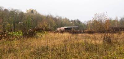 Terrain seul à Haraucourt en Ardennes (08) de 4335 m² à vendre au prix de 60000€ - 3