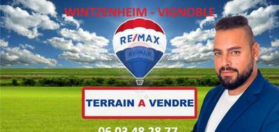 Terrain seul à Wintzenheim en Haut-Rhin (68) de 2500 m² à vendre au prix de 385000€ - 1