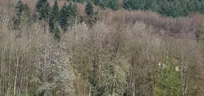 Terrain seul à Le Val-d'Ajol en Vosges (88) de 4728 m² à vendre au prix de 50000€ - 1