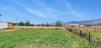 Terrain seul à Rigarda en Pyrénées-Orientales (66) de 502 m² à vendre au prix de 110000€ - 3
