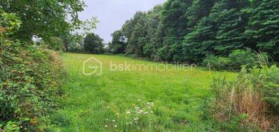 Terrain seul à Plumelec en Morbihan (56) de 2740 m² à vendre au prix de 148480€ - 2