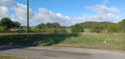 Terrain seul à Saint-Dolay en Morbihan (56) de 660 m² à vendre au prix de 52800€ - 3