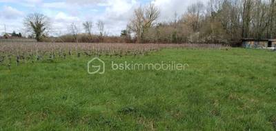 Terrain seul à Eyrans en Gironde (33) de 1000 m² à vendre au prix de 44000€ - 3