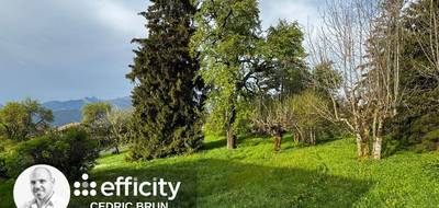 Terrain seul à Mont-Saxonnex en Haute-Savoie (74) de 2287 m² à vendre au prix de 199000€ - 3