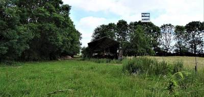 Terrain seul à Vignacourt en Somme (80) de 1582 m² à vendre au prix de 40000€ - 4