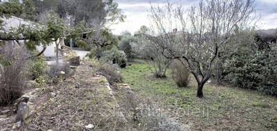 Terrain seul à Cuers en Var (83) de 500 m² à vendre au prix de 199000€ - 4