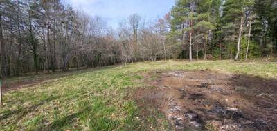 Terrain seul à Queyssac en Dordogne (24) de 1959 m² à vendre au prix de 43000€ - 4