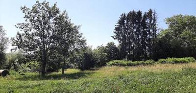 Programme terrain + maison à Manspach en Haut-Rhin (68) de 860 m² à vendre au prix de 449000€ - 3