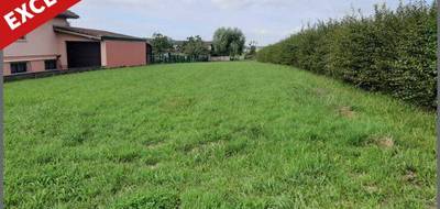 Terrain seul à Morhange en Moselle (57) de 1034 m² à vendre au prix de 23500€ - 2