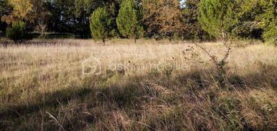 Terrain seul à Terrasson-Lavilledieu en Dordogne (24) de 3787 m² à vendre au prix de 65000€ - 2