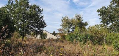 Terrain seul à Saint-Fargeau en Yonne (89) de 880 m² à vendre au prix de 19000€ - 2