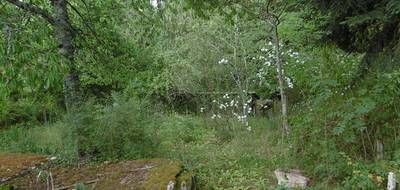 Terrain seul à Thiers en Puy-de-Dôme (63) de 1020 m² à vendre au prix de 42000€ - 3