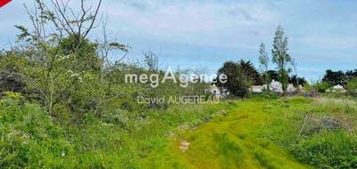 Terrain seul à L'Île-d'Yeu en Vendée (85) de 2750 m² à vendre au prix de 497000€ - 1