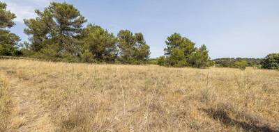Terrain seul à Malves-en-Minervois en Aude (11) de 8952 m² à vendre au prix de 30000€ - 3