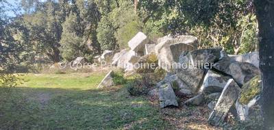 Terrain seul à Zonza en Corse-du-Sud (2A) de 1978 m² à vendre au prix de 72500€ - 3