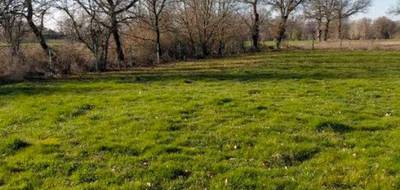 Terrain seul à Soual en Tarn (81) de 2651 m² à vendre au prix de 79900€ - 3