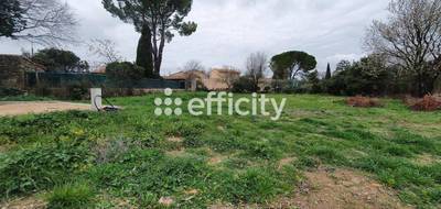 Terrain seul à Villevieille en Gard (30) de 1082 m² à vendre au prix de 217000€ - 1