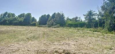 Terrain seul à Vaas en Sarthe (72) de 2500 m² à vendre au prix de 25000€ - 2