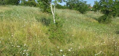 Terrain seul à Coux et Bigaroque-Mouzens en Dordogne (24) de 3445 m² à vendre au prix de 45000€ - 3