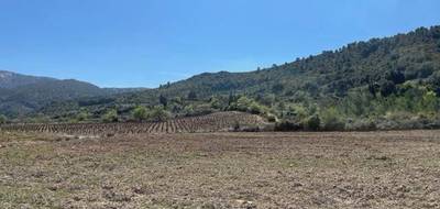 Terrain seul à Sigean en Aude (11) de 3163 m² à vendre au prix de 125000€ - 3