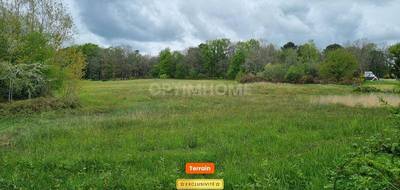 Terrain seul à Limeyrat en Dordogne (24) de 5135 m² à vendre au prix de 40000€ - 1