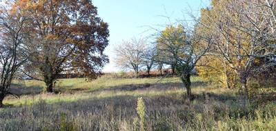 Terrain seul à Mouleydier en Dordogne (24) de 2240 m² à vendre au prix de 45000€ - 3