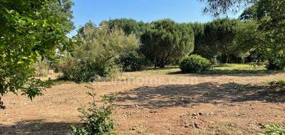 Terrain seul à Montaigut-sur-Save en Haute-Garonne (31) de 761 m² à vendre au prix de 139000€ - 4