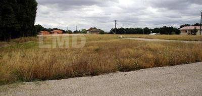 Terrain seul à Montdurausse en Tarn (81) de 815 m² à vendre au prix de 53000€ - 1