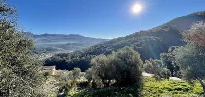 Terrain seul à Contes en Alpes-Maritimes (06) de 3015 m² à vendre au prix de 190000€ - 3