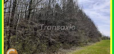 Terrain seul à Mézières-en-Brenne en Indre (36) de 16433 m² à vendre au prix de 49900€ - 2