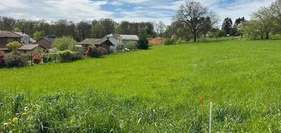 Terrain seul à Sorbey en Meuse (55) de 15800 m² à vendre au prix de 75000€ - 2