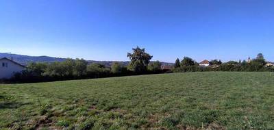 Terrain seul à Charlieu en Loire (42) de 1507 m² à vendre au prix de 39000€ - 1