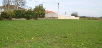 Terrain seul à Sainte-Hermine en Vendée (85) de 703 m² à vendre au prix de 31300€ - 1
