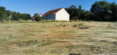 Terrain seul à Gron en Cher (18) de 1204 m² à vendre au prix de 15000€ - 3