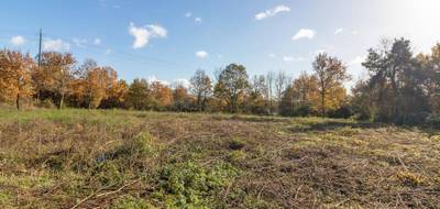 Terrain seul à Pruniers-en-Sologne en Loir-et-Cher (41) de 1009 m² à vendre au prix de 32990€ - 4