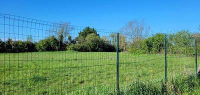 Terrain seul à Castelnau Montratier-Sainte Alauzie en Lot (46) de 1000 m² à vendre au prix de 30500€ - 4