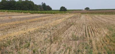 Terrain seul à Pérignac en Charente-Maritime (17) de 1950 m² à vendre au prix de 40000€ - 1