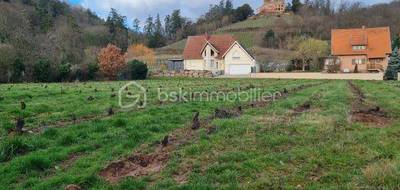 Terrain seul à Kintzheim en Bas-Rhin (67) de 596 m² à vendre au prix de 181500€ - 4