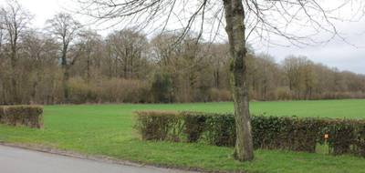 Terrain seul à Quevauvillers en Somme (80) de 820 m² à vendre au prix de 82000€ - 3