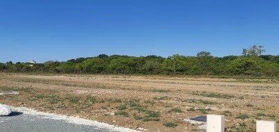 Terrain seul à Charron en Charente-Maritime (17) de 321 m² à vendre au prix de 65805€