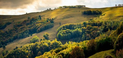 Terrain seul à Pelousey en Doubs (25) de 591 m² à vendre au prix de 94560€