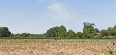 Terrain seul à Cognac en Charente (16) de 630 m² à vendre au prix de 60000€