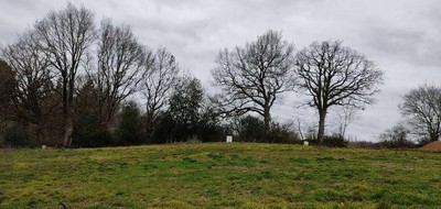 Terrain seul à Bourgueil en Indre-et-Loire (37) de 1490 m² à vendre au prix de 1489€