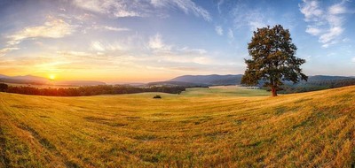 Terrain seul à Chemaudin et Vaux en Doubs (25) de 764 m² à vendre au prix de 120000€