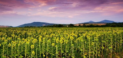 Terrain seul à Chemaudin et Vaux en Doubs (25) de 633 m² à vendre au prix de 98000€