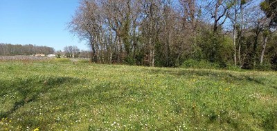 Terrain seul à Saint-Michel-de-Montaigne en Dordogne (24) de 1500 m² à vendre au prix de 37000€