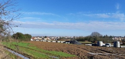Terrain seul à Montaigu-Vendée en Vendée (85) de 292 m² à vendre au prix de 48500€